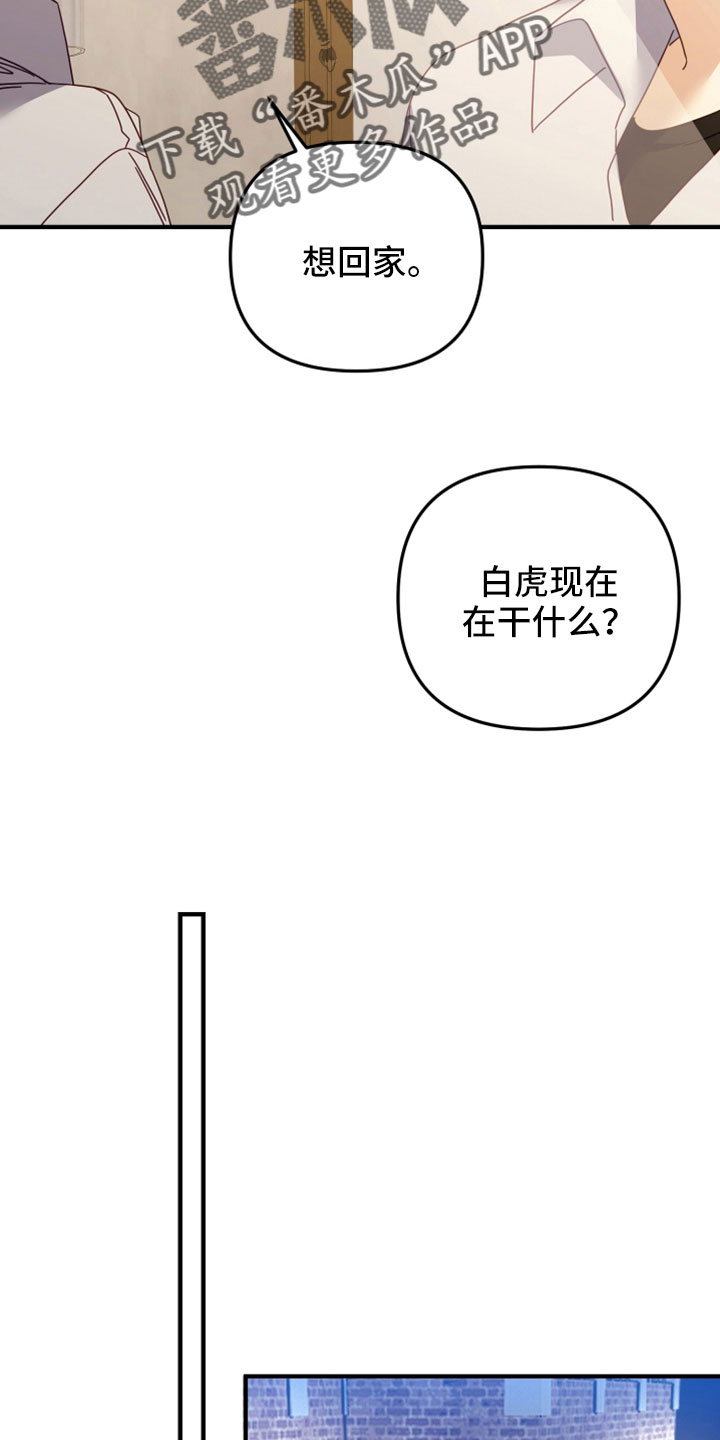 第43章：三个一起11