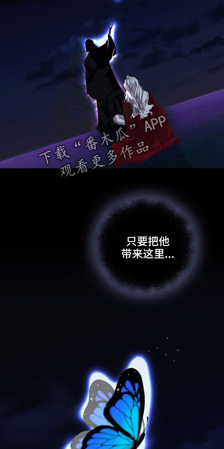 第45章：赌约20