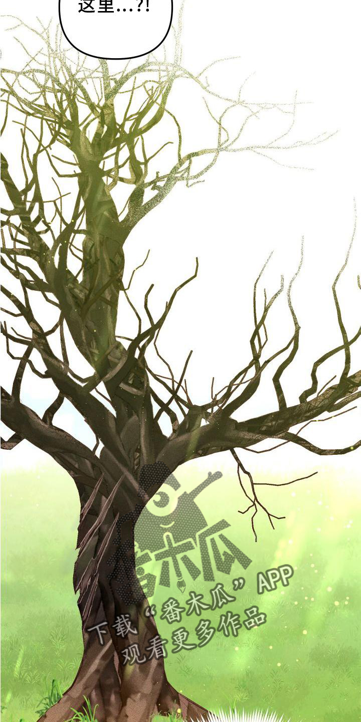 第24章：漂亮5