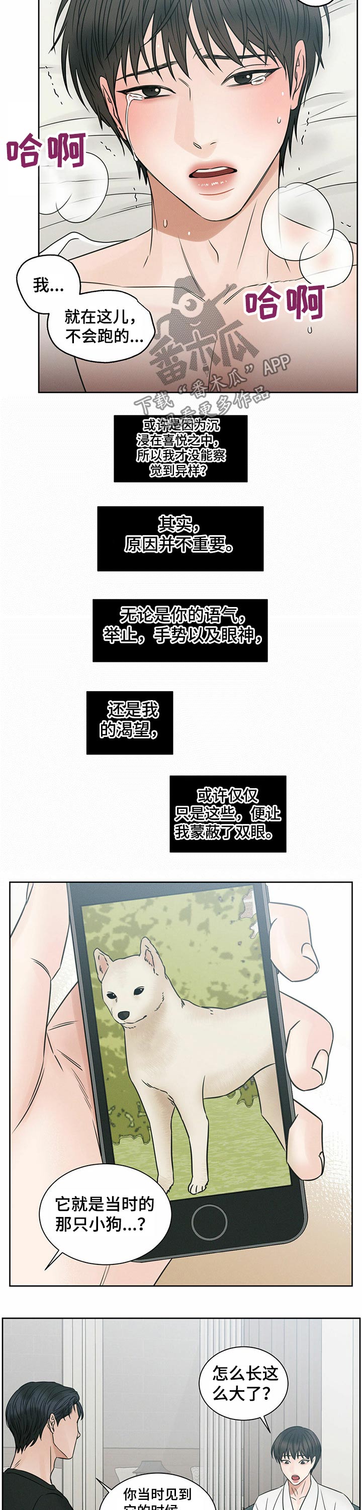 第85章：透透气4