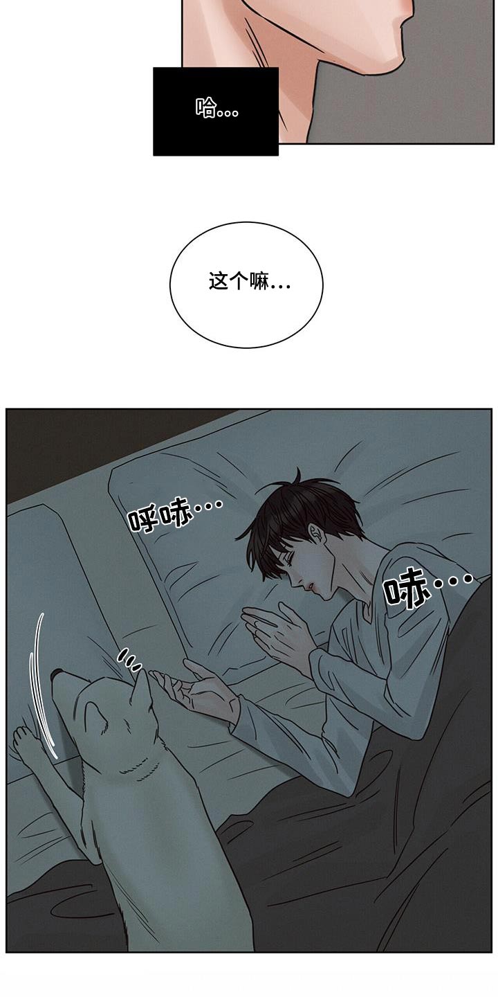 第162章：【第二季】哥哥17