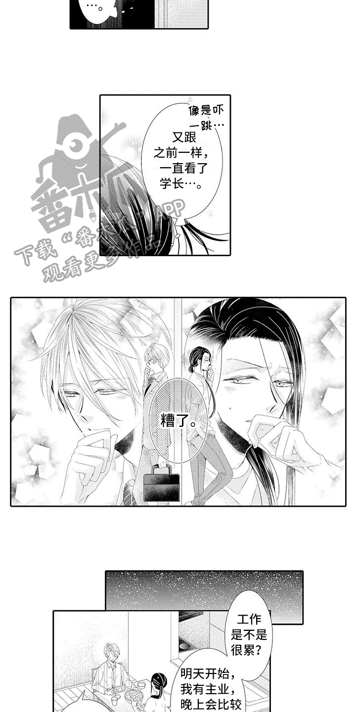 第17章：满意5