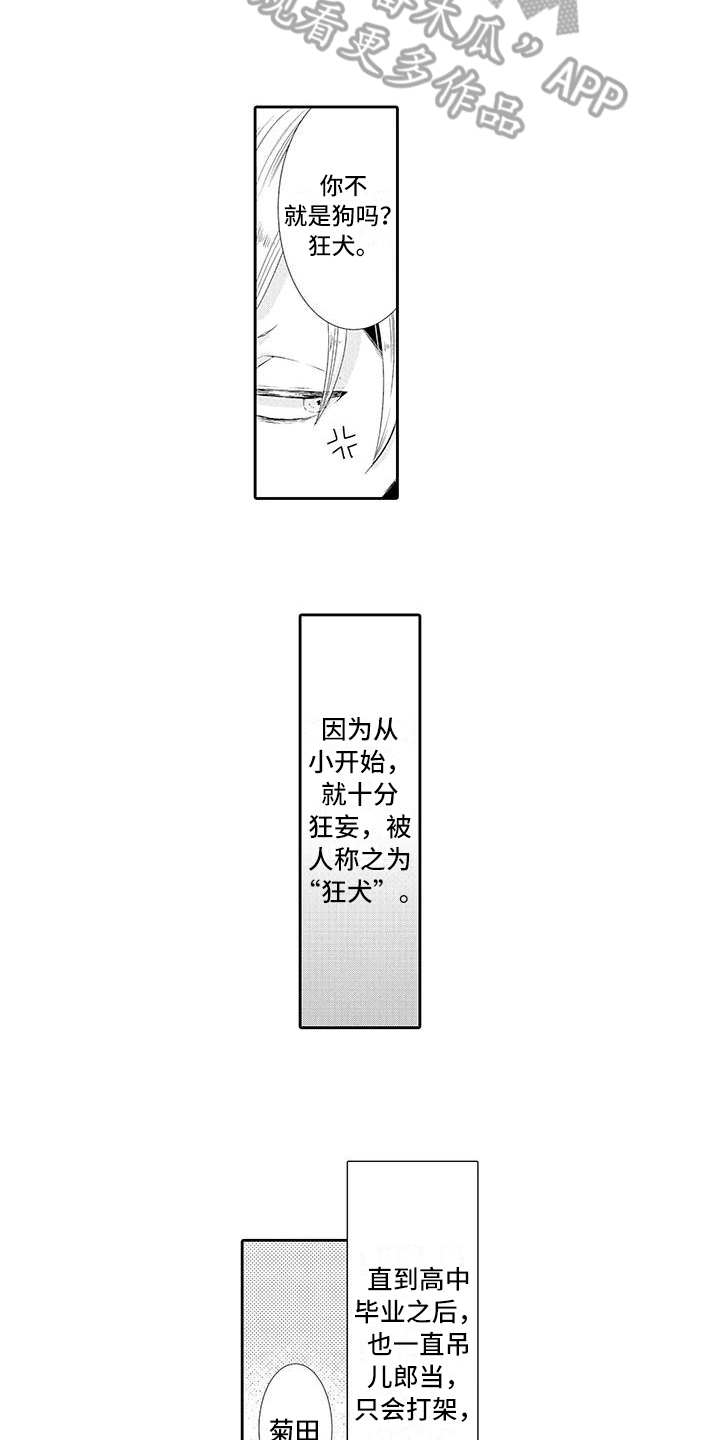 第11章：教训4