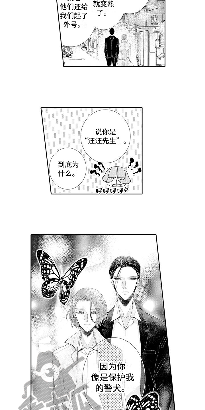 第4章：保护3
