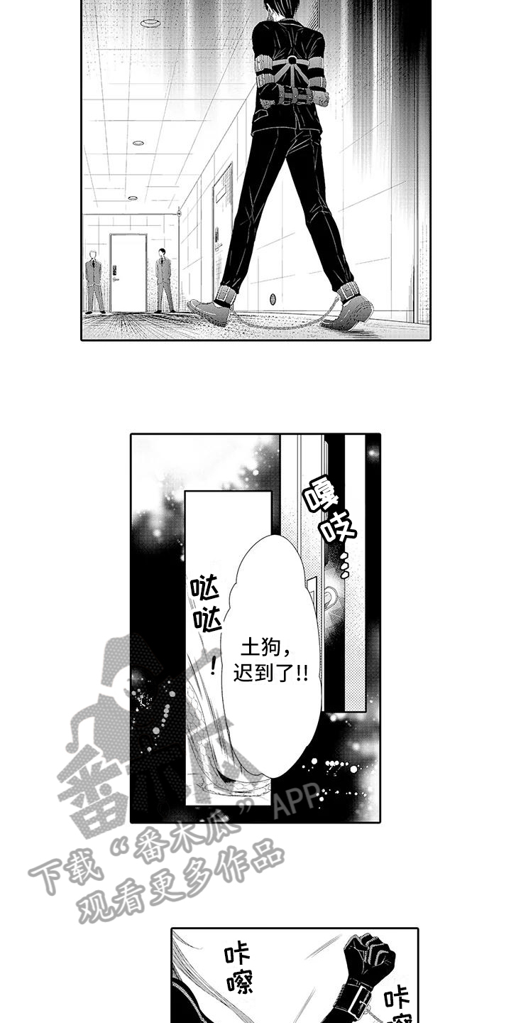第20章：怀疑1