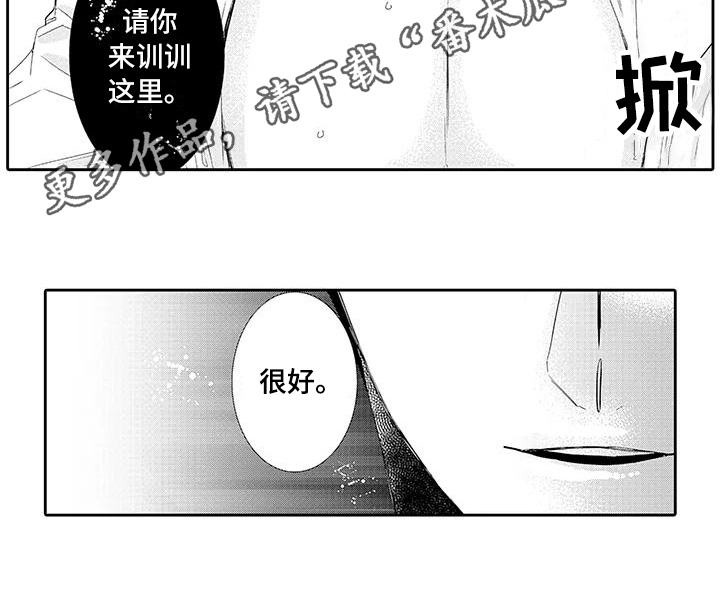 第11章：教训12