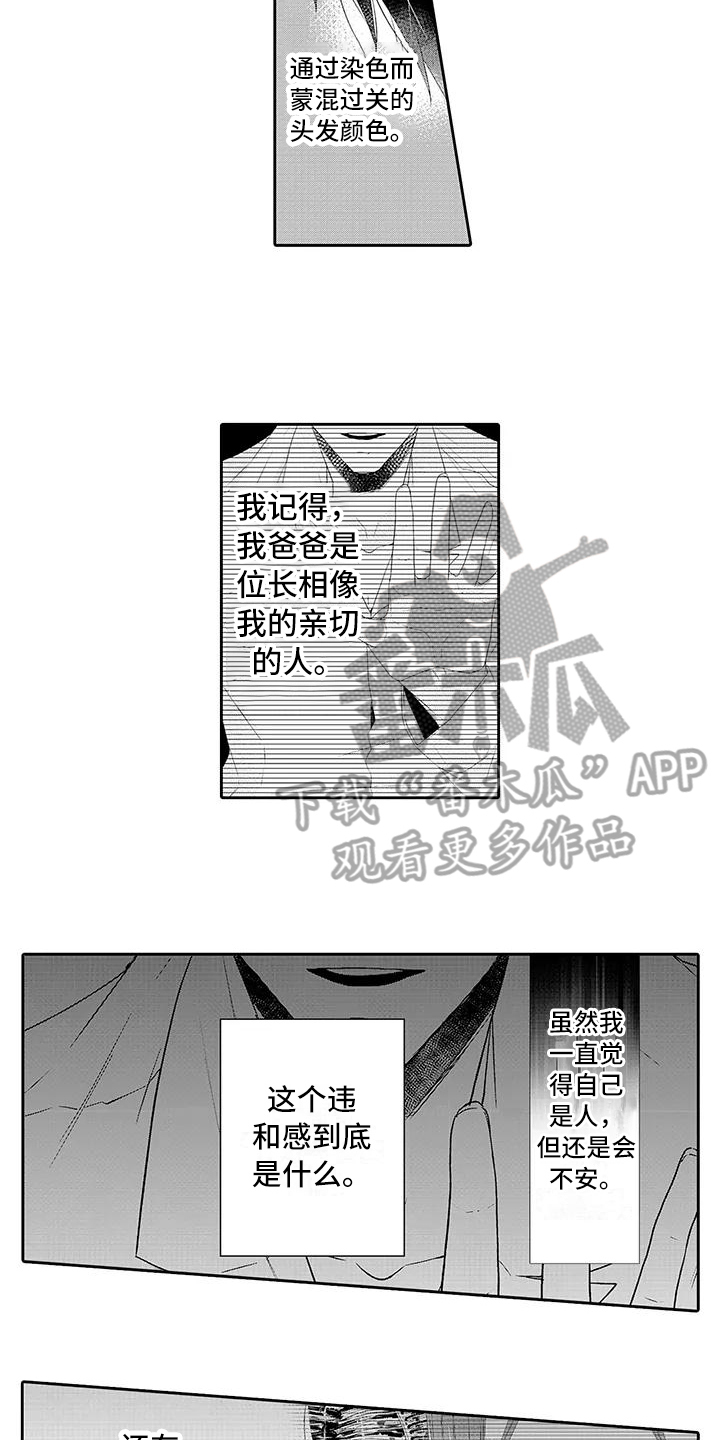 第21章：期待【完结】1