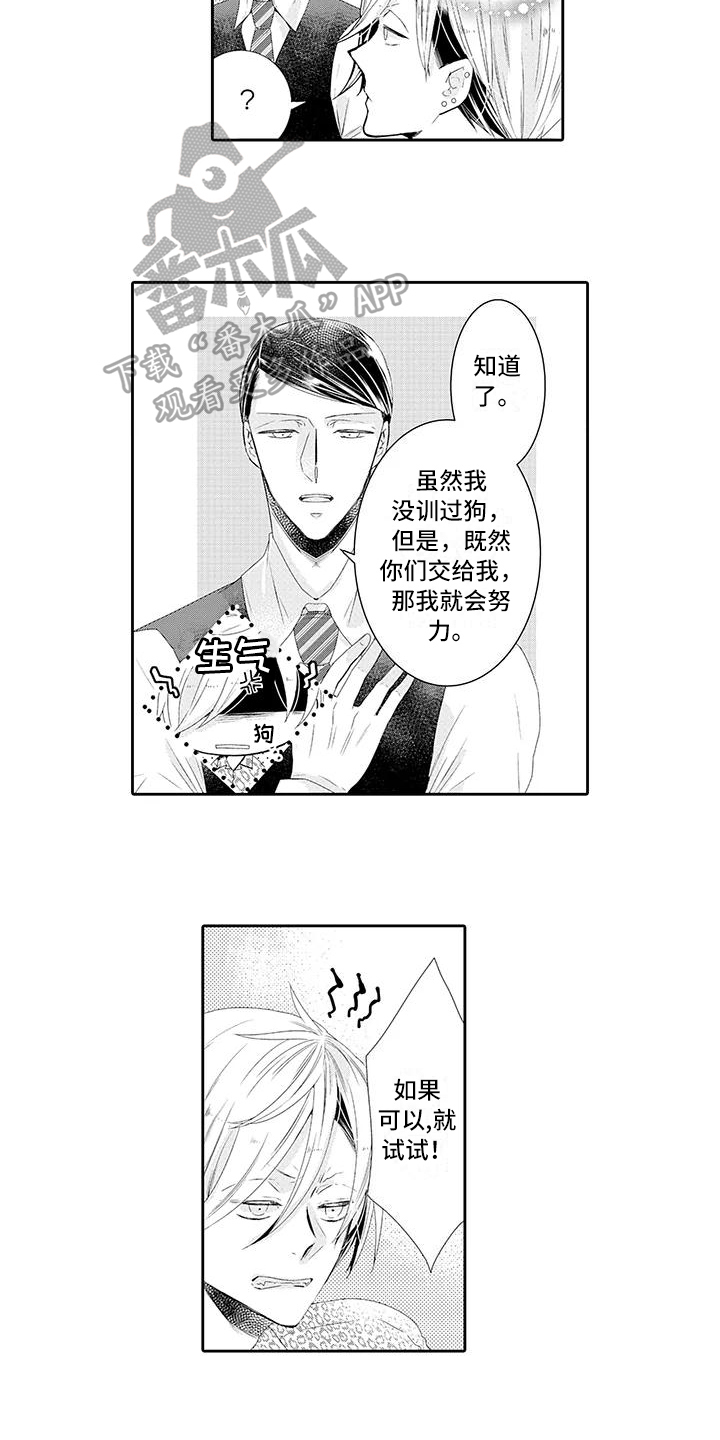 第11章：教训6