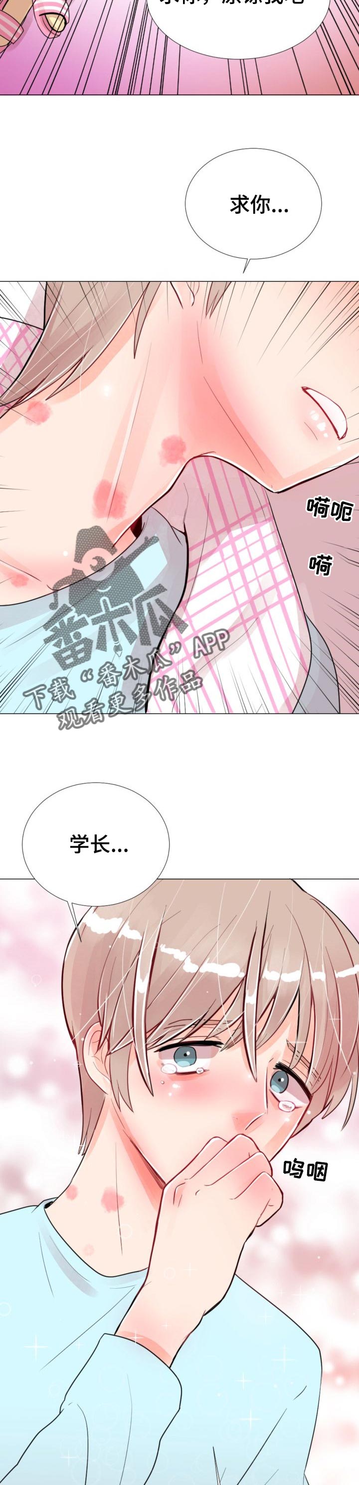 第48章：变化太大了11