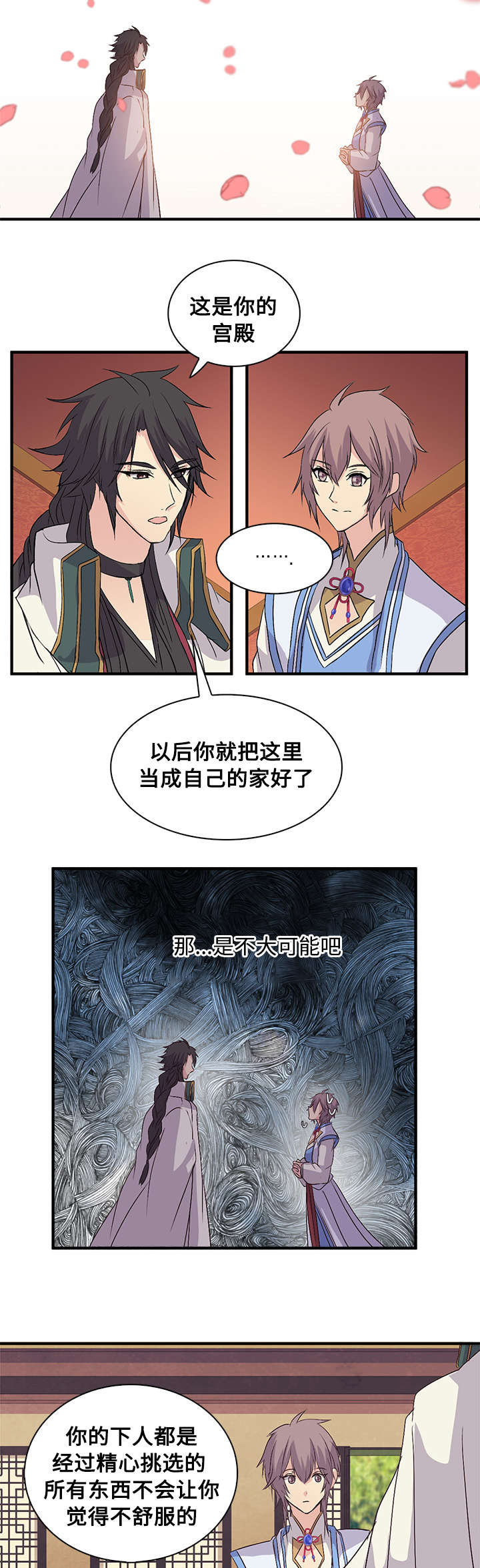 第41章：你的宫殿7