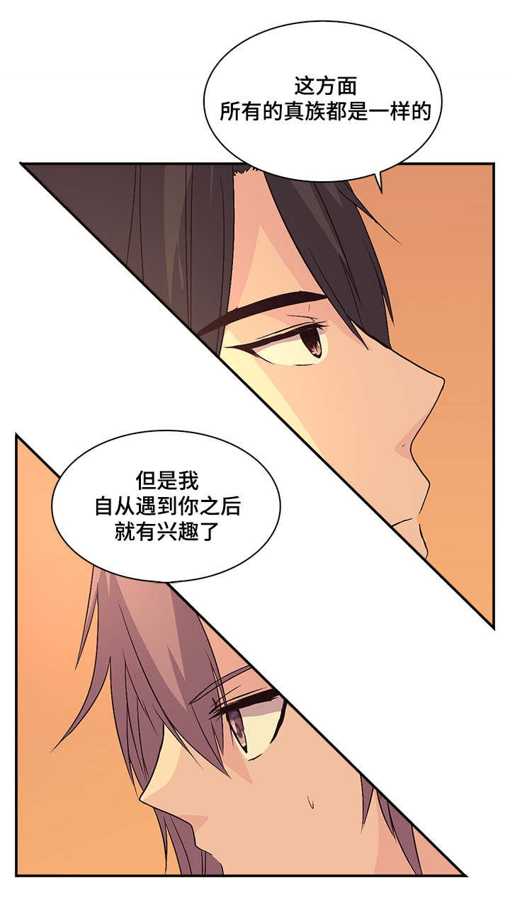 第37章：才儿10