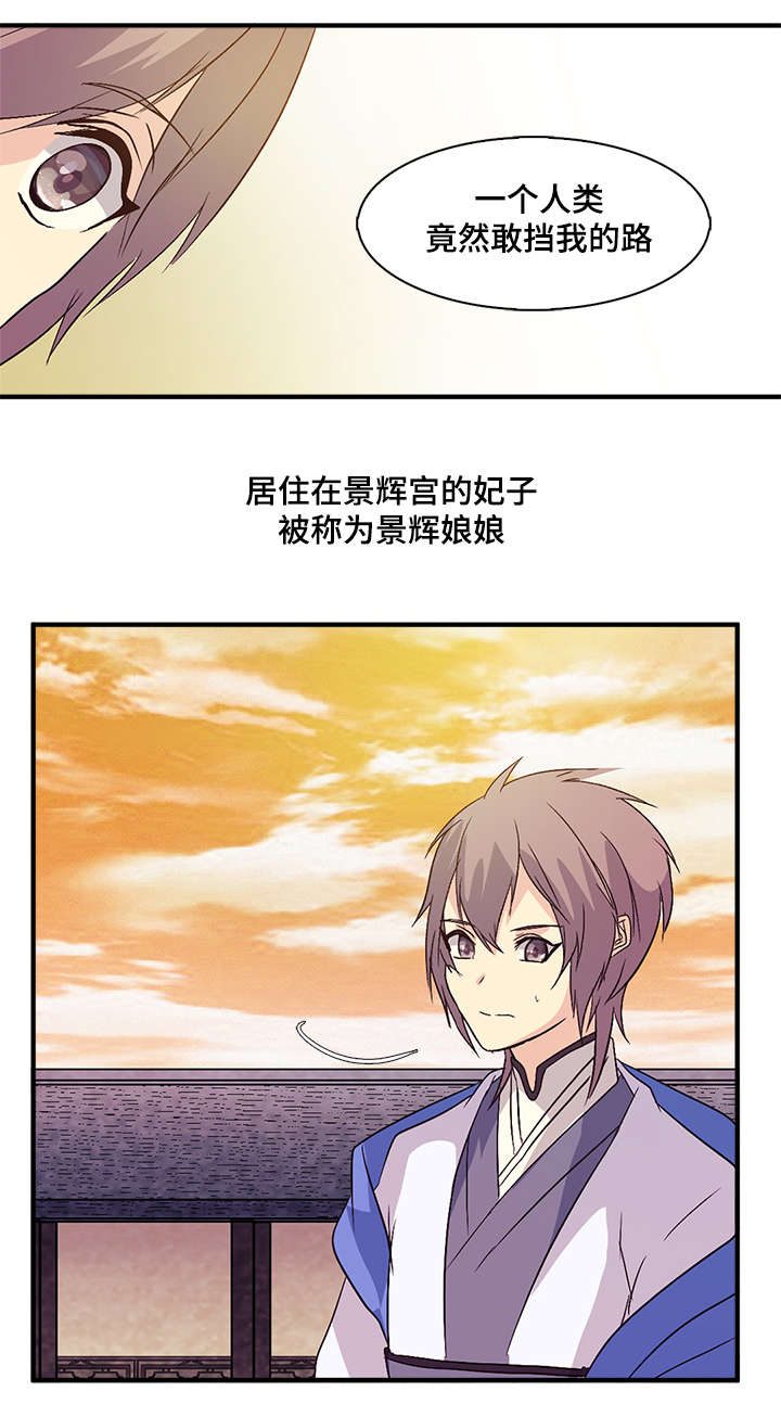 第49章：宫中势力14