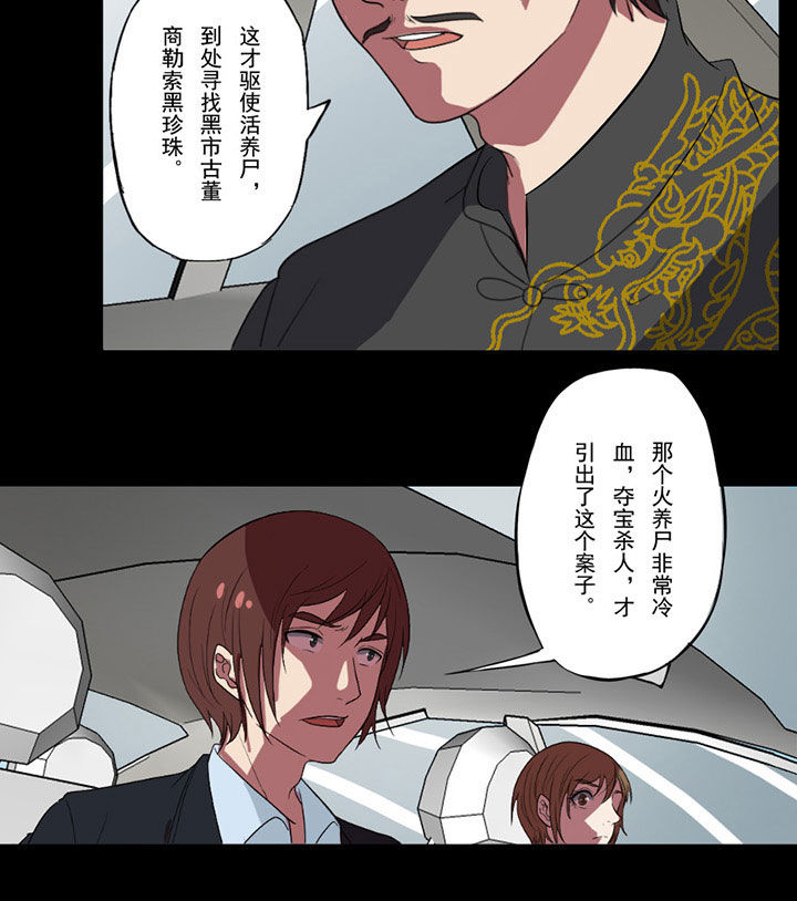 第91章：来龙去脉24