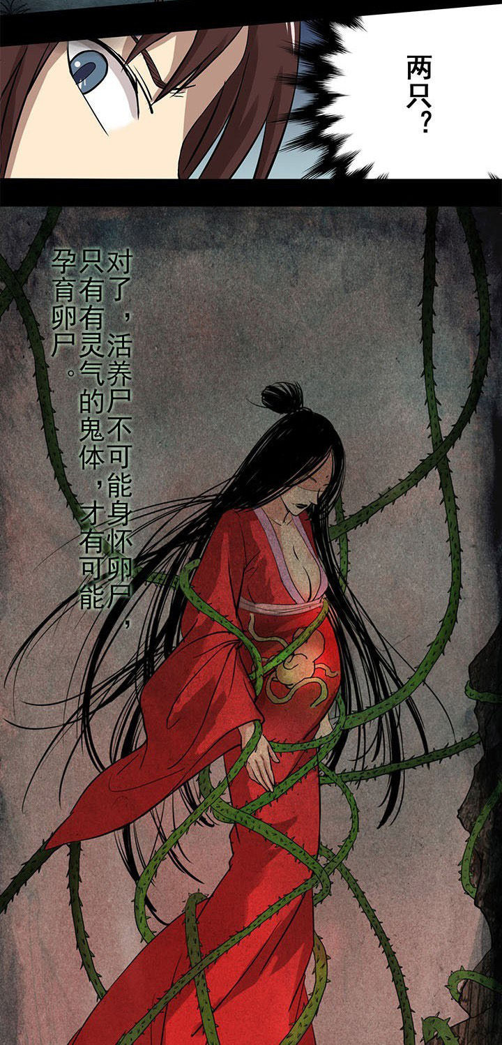 第20章：沈冰失踪10
