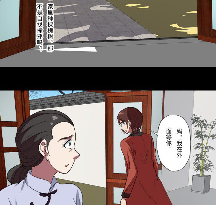 第96章：槐木取阴5