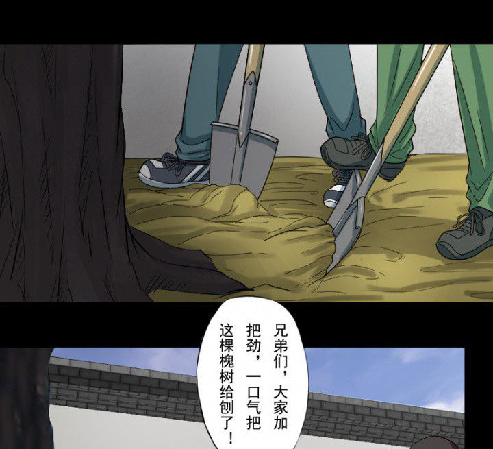 第99章：定亲0