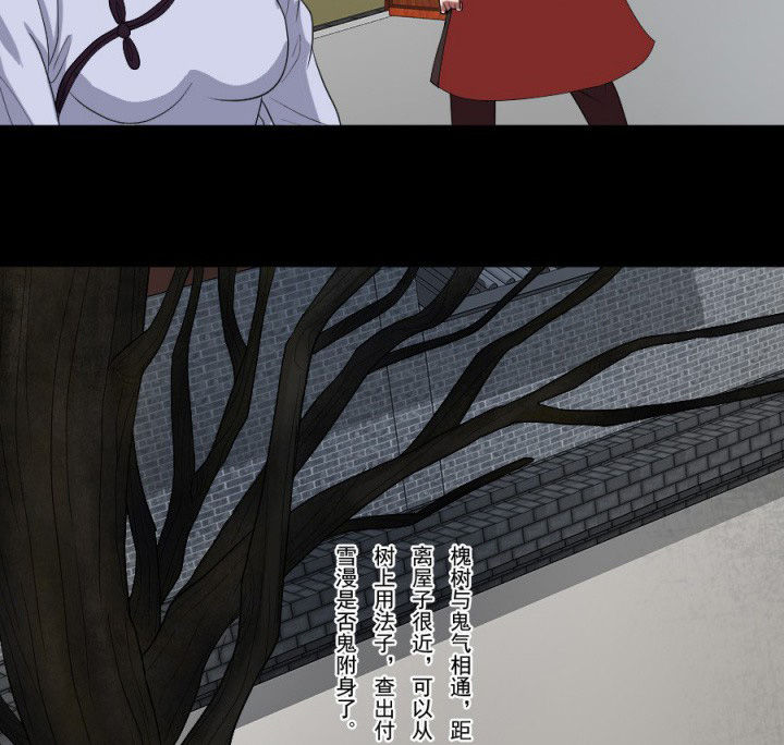 第96章：槐木取阴6
