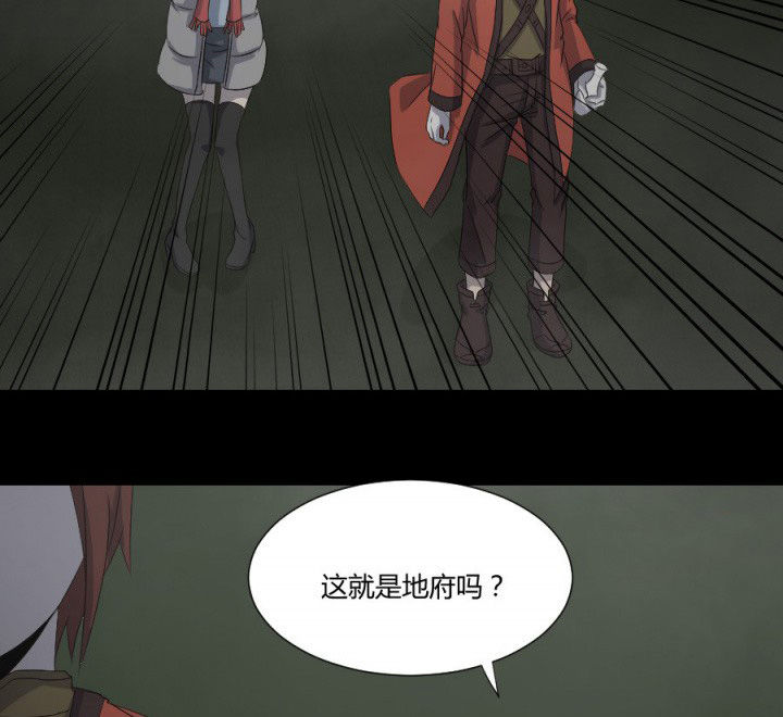 第115章：误入地府10