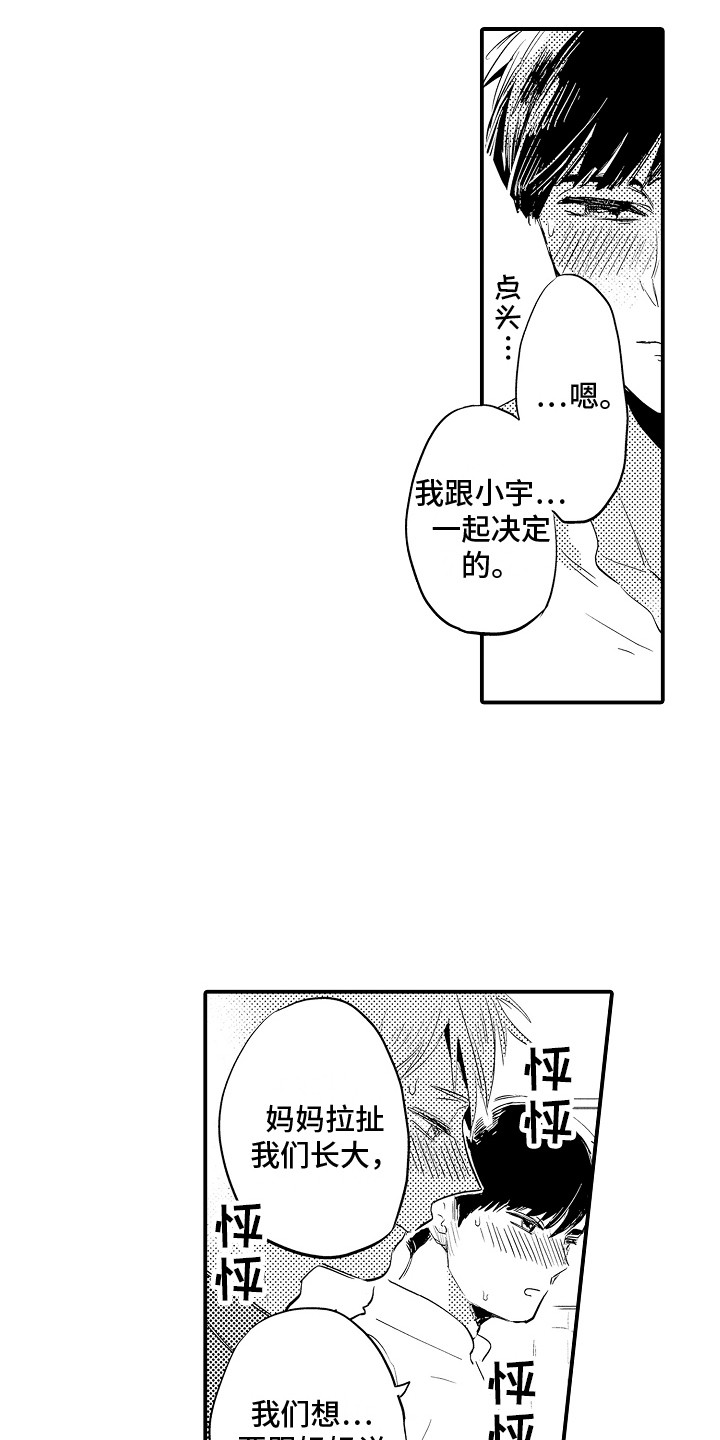 第33章：公开 12