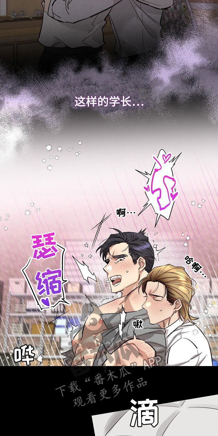 第13章：错觉15