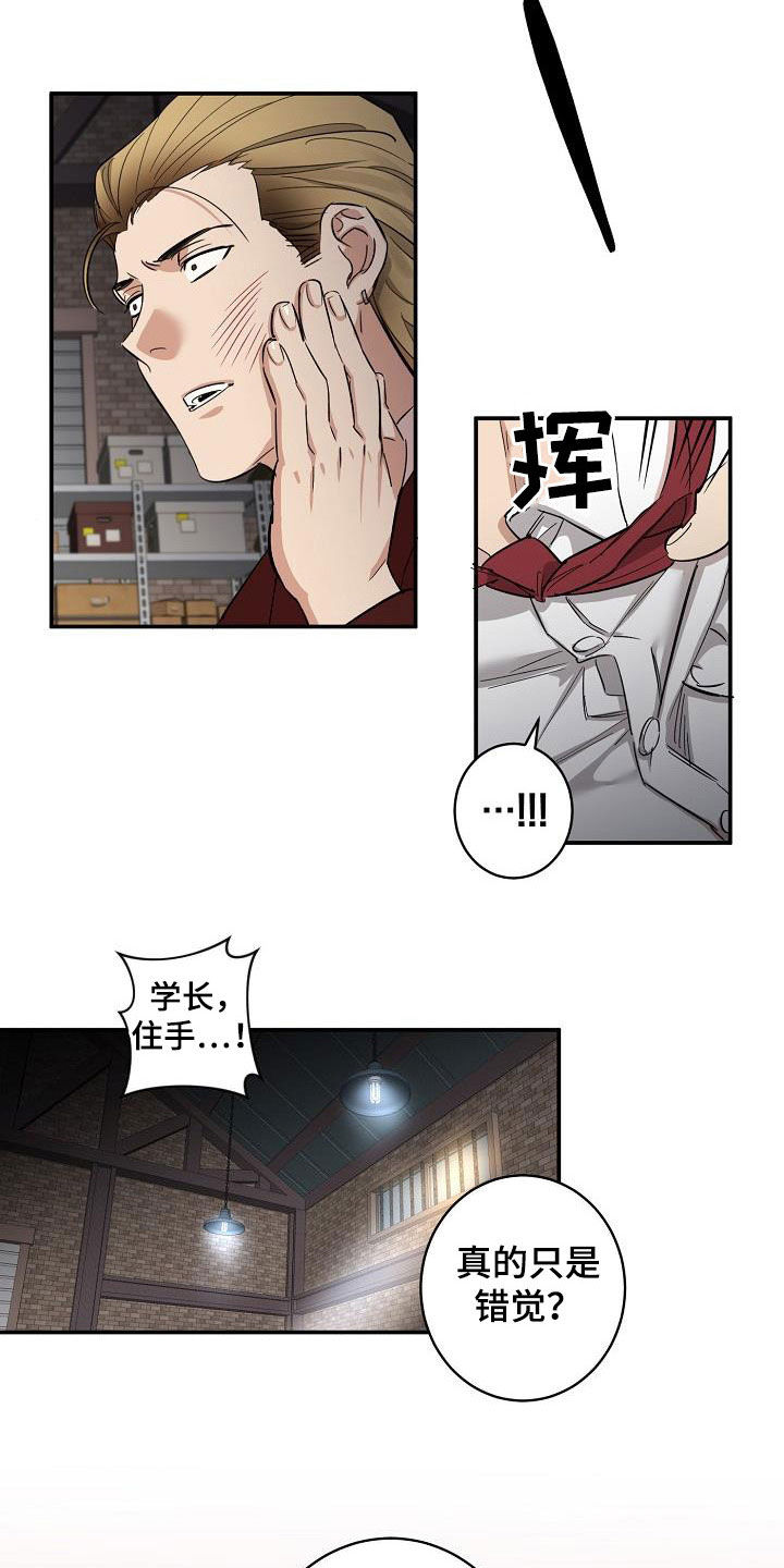 第13章：错觉8