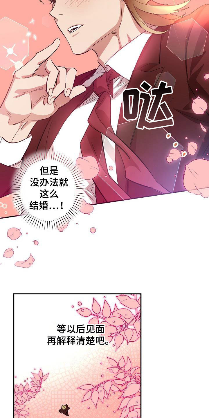 第12章：结婚16