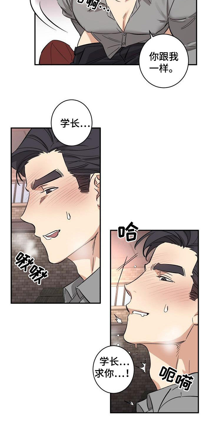第13章：错觉10