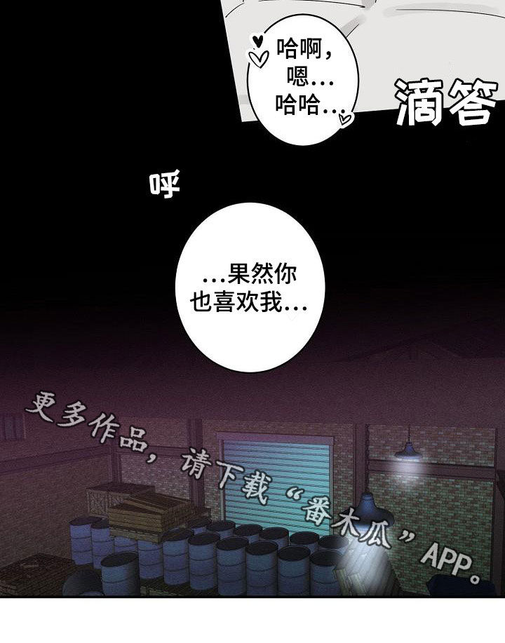第13章：错觉16