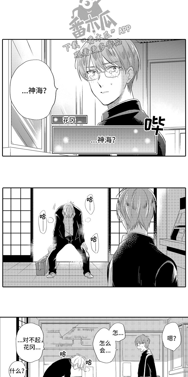 第9章：解释10