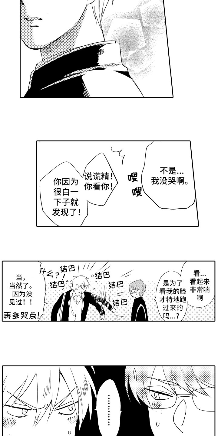 第9章：解释12