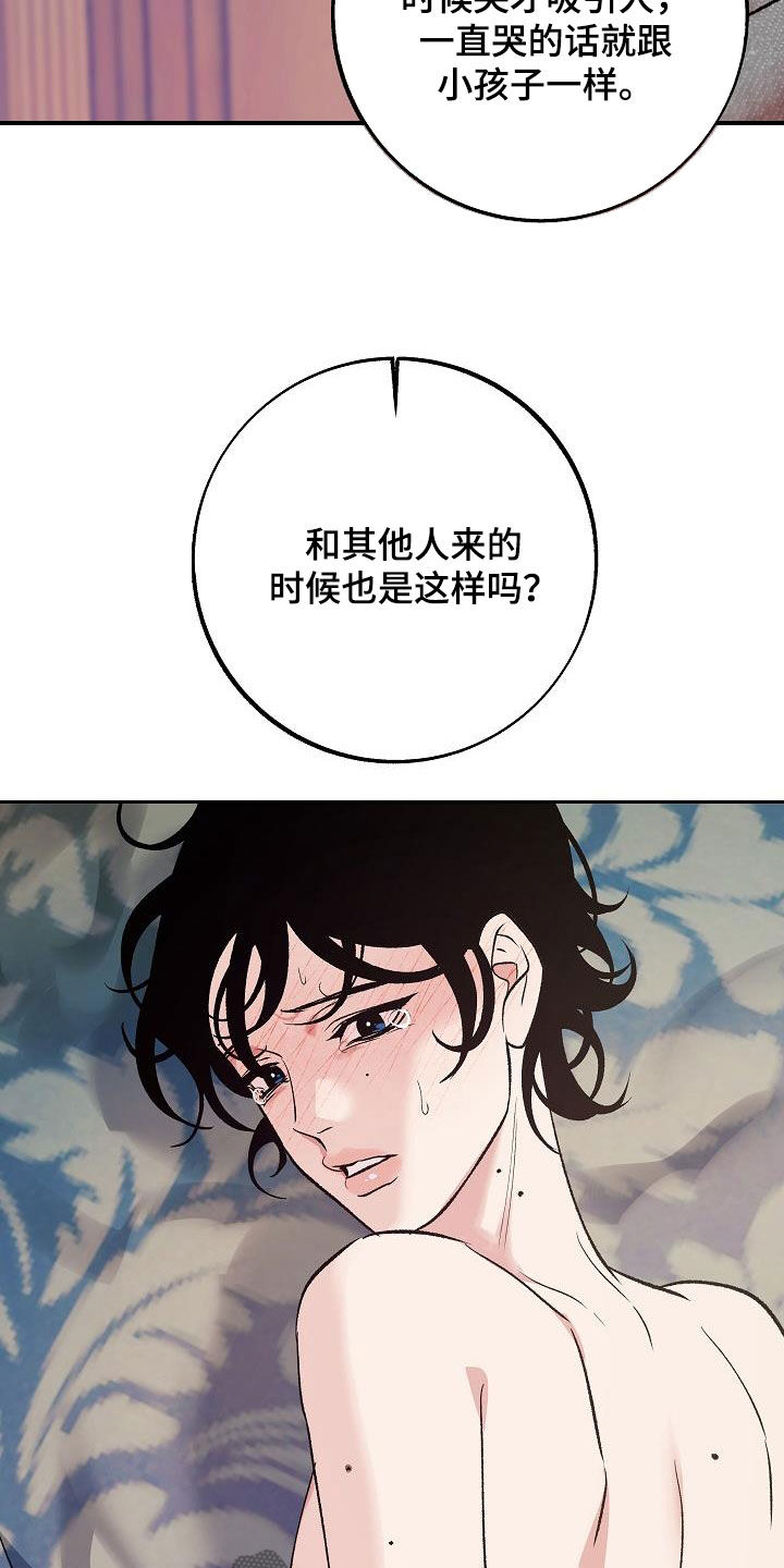 第19章：没有试过15