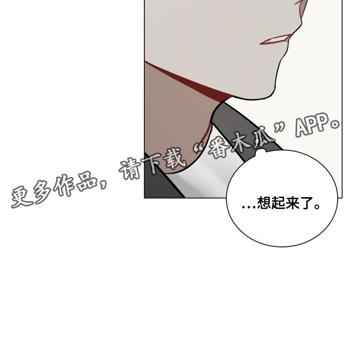 第50章：理想的恋人24