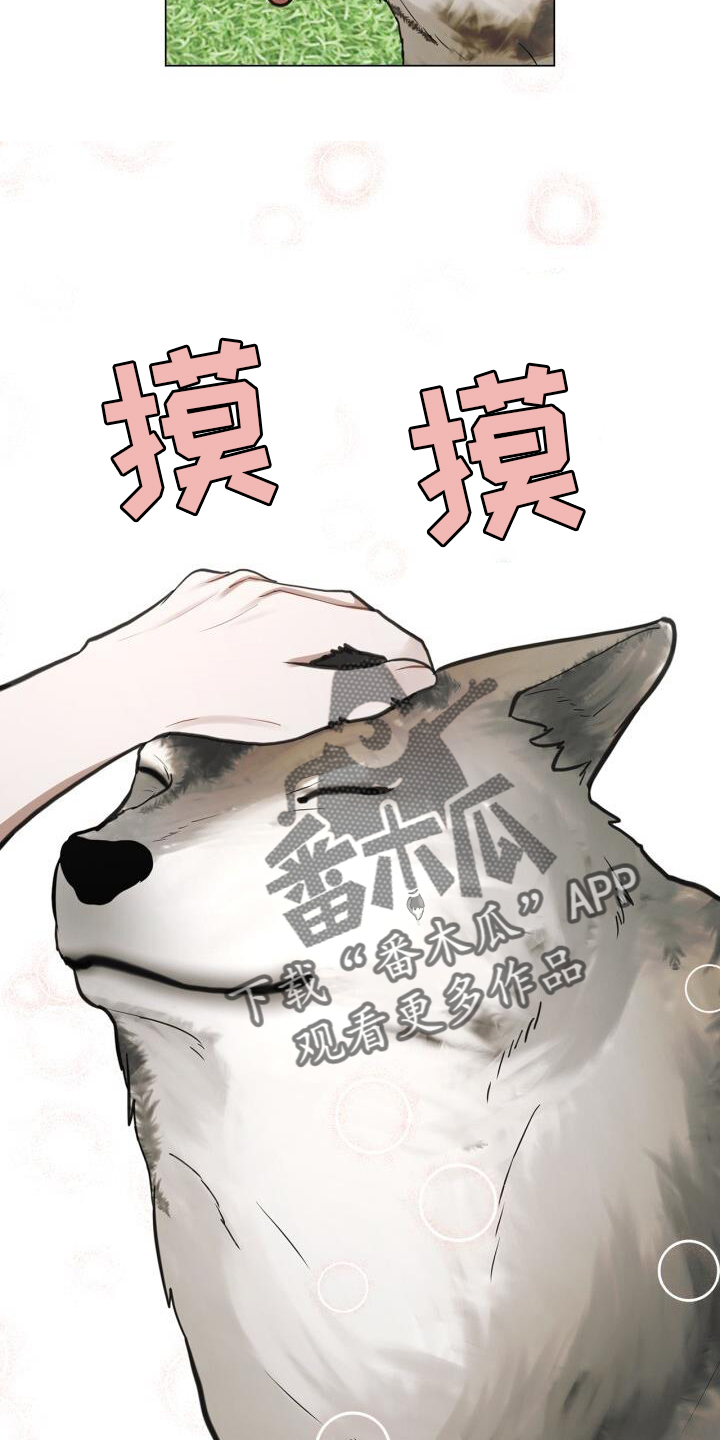 第67章：接触19