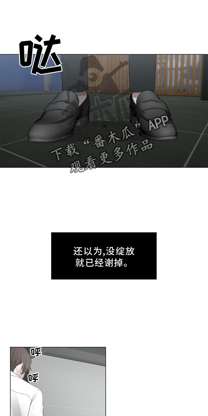 第31章：抓住18