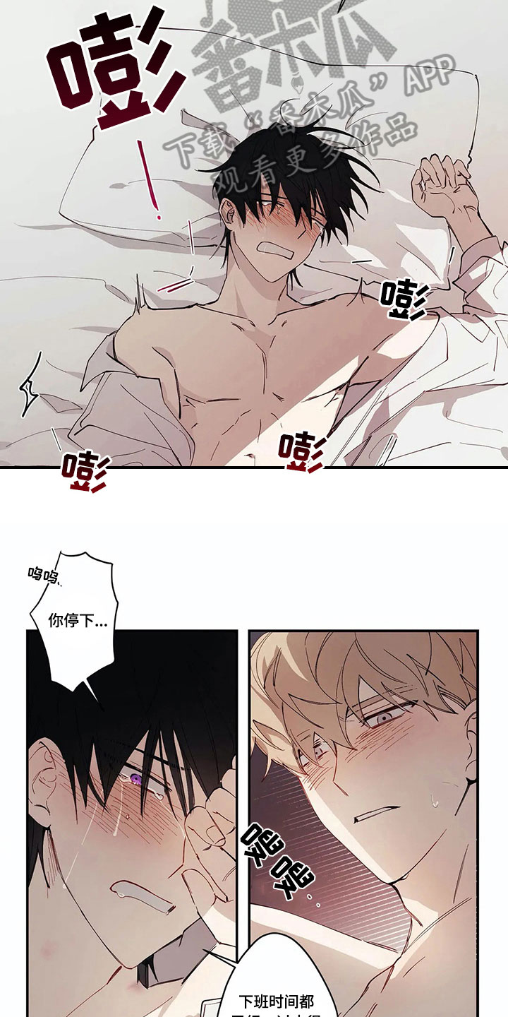 第6章：报告3