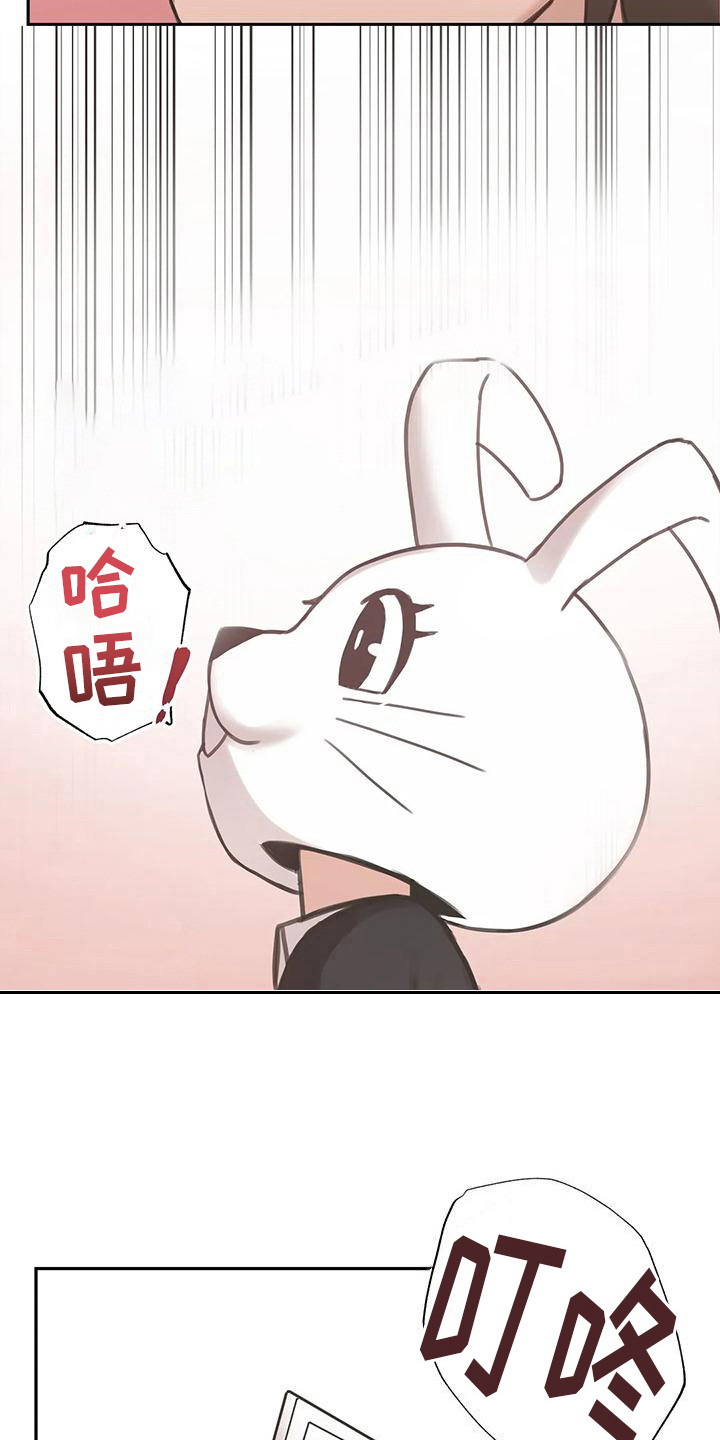 第8章：拍视频21