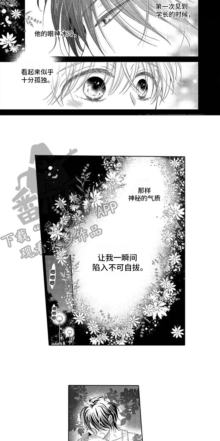 第11章：食物8