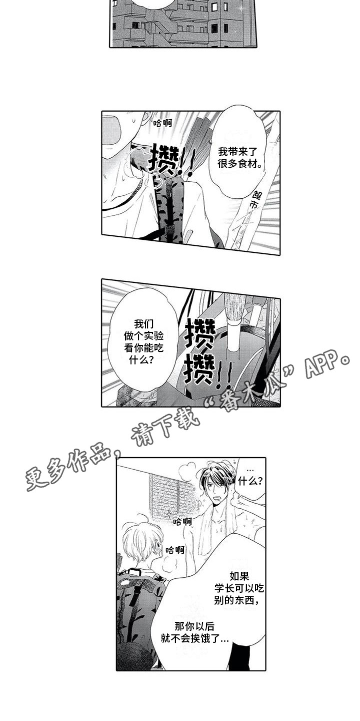 第16章：食材6