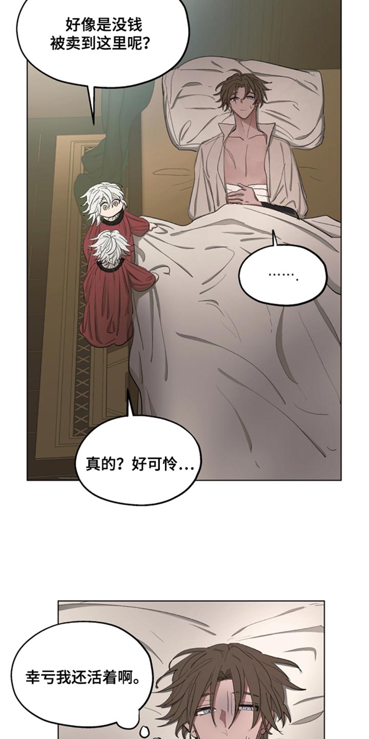 第84章：【第二季】眼熟的胸针10
