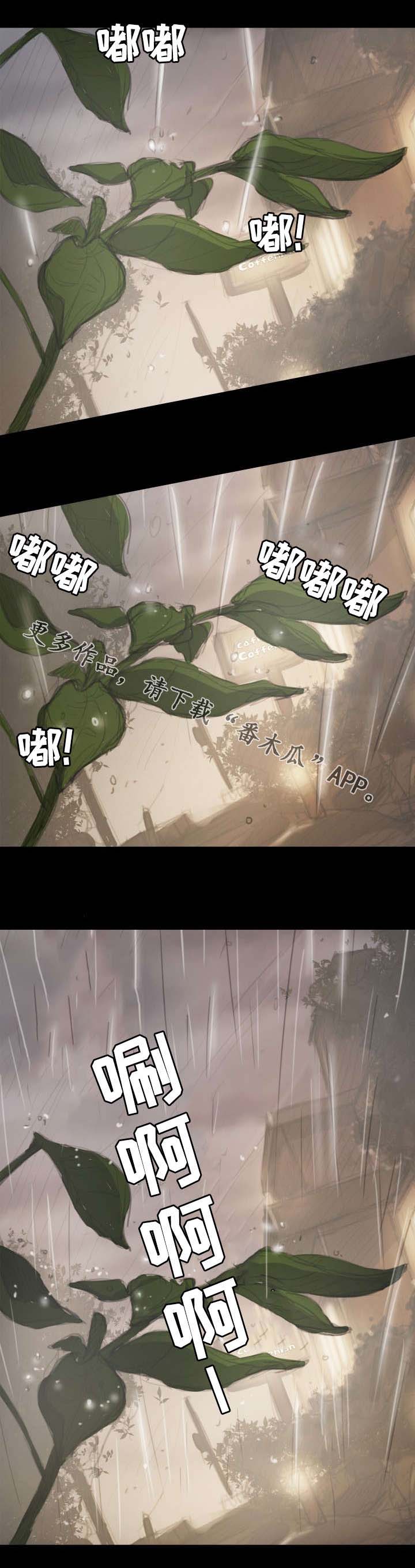 第25章：播种5