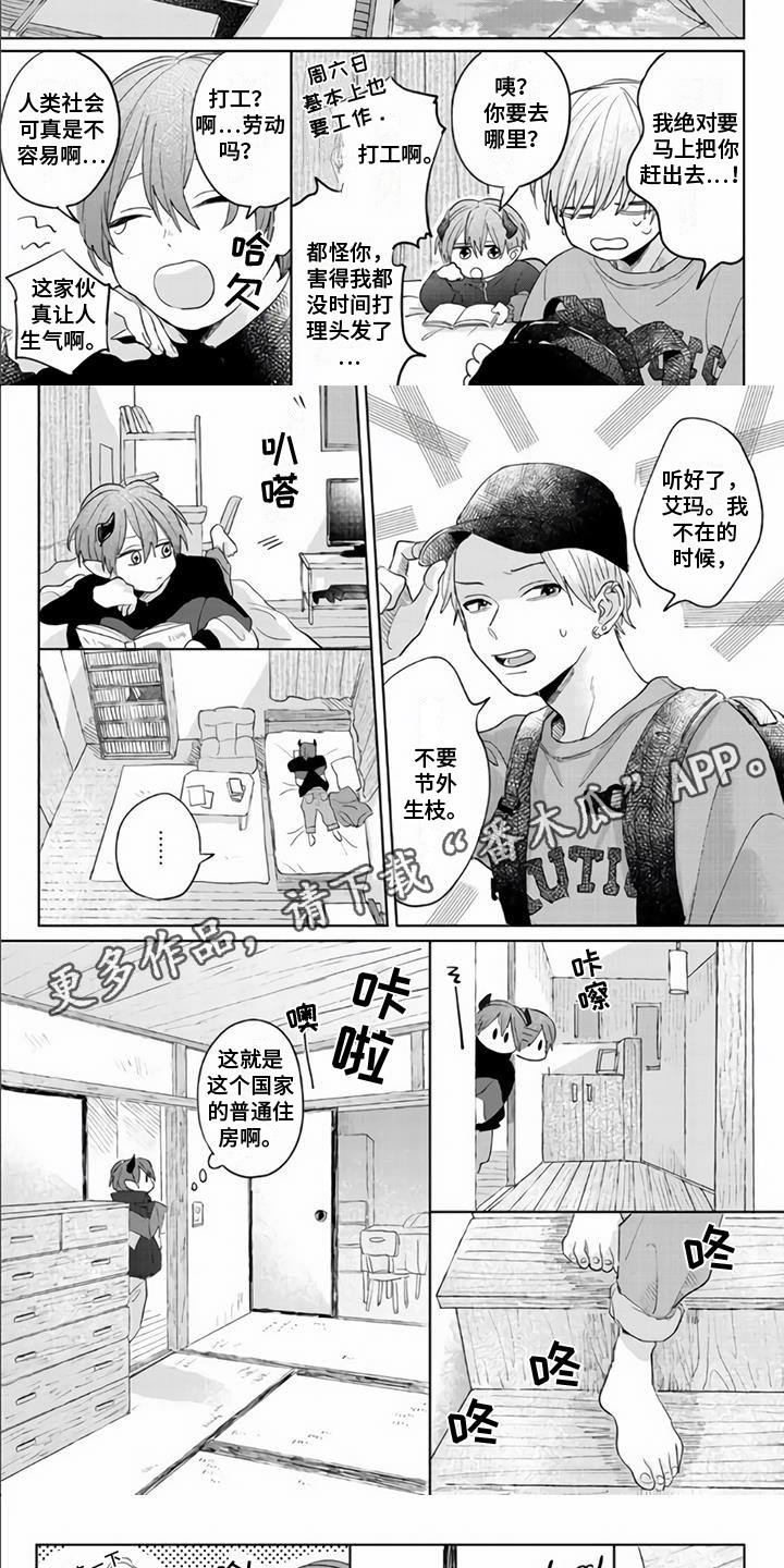 第4章：装可怜4