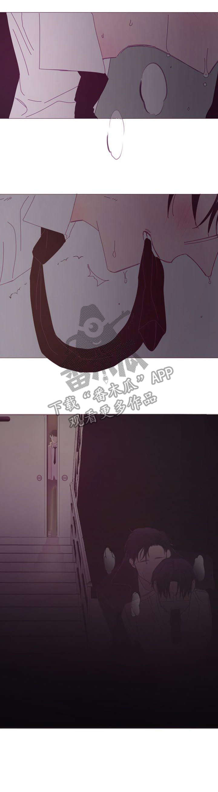 第11章：和好6