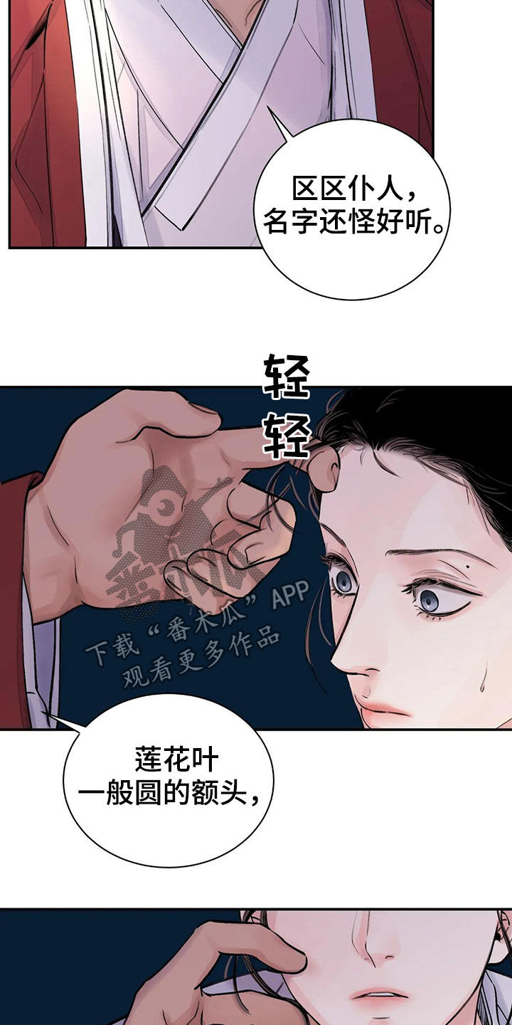 第16章：服侍11