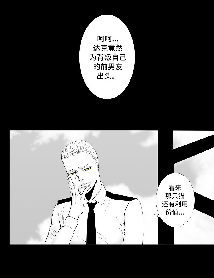 第3章：暗中观察14