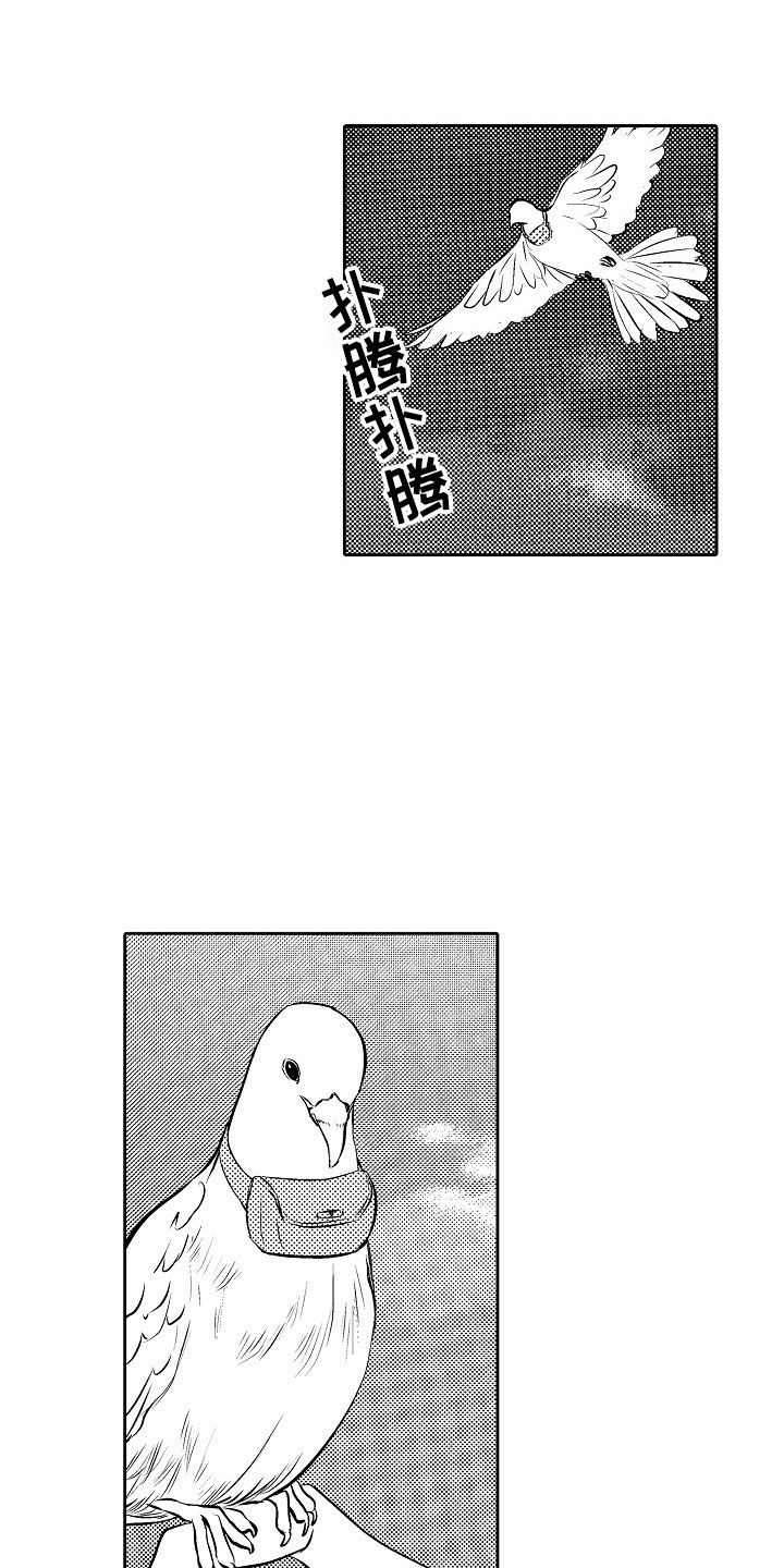 第28章：夜想曲：求助1