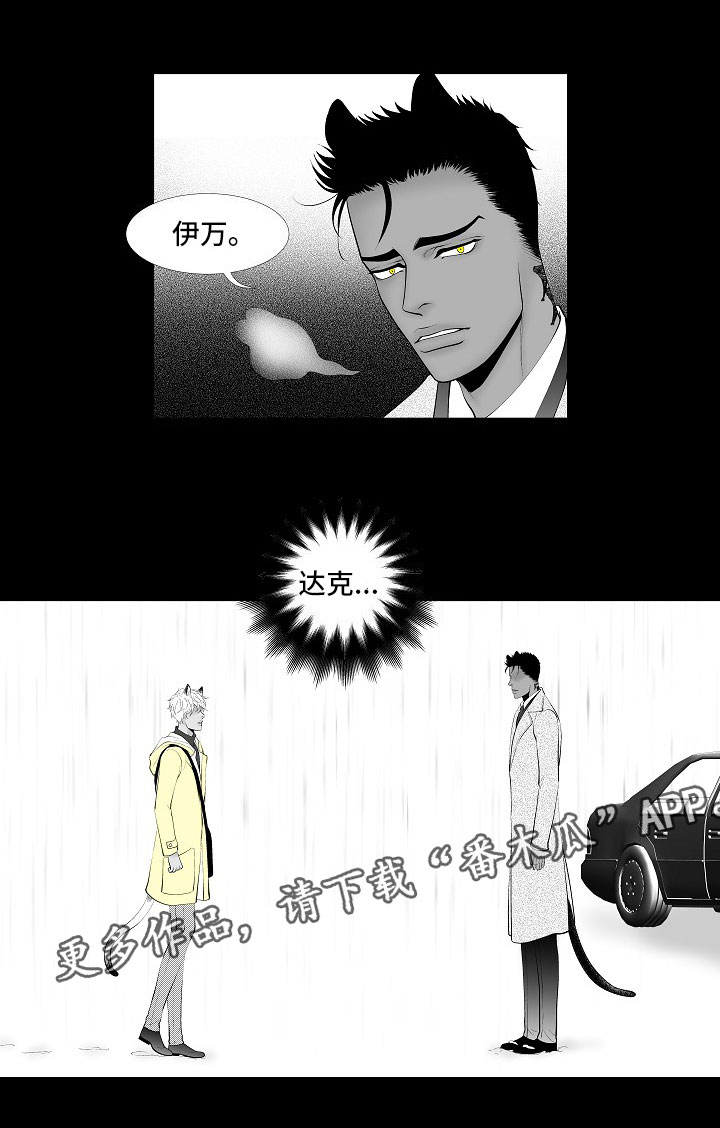 第14章：尘埃落定17