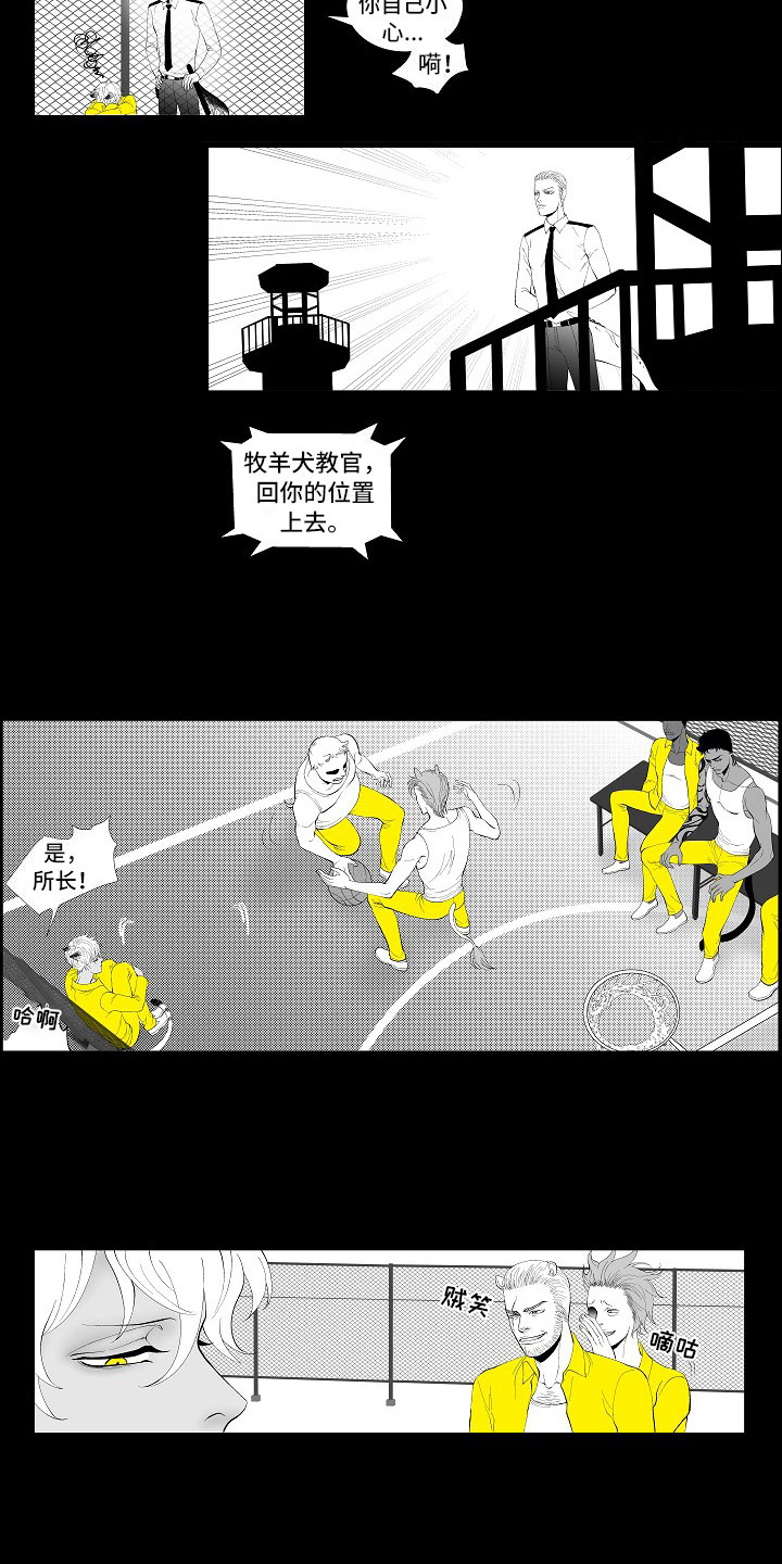 第3章：暗中观察8