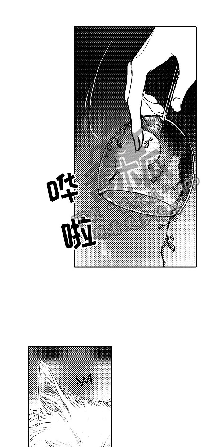 第26章：夜想曲：公主9