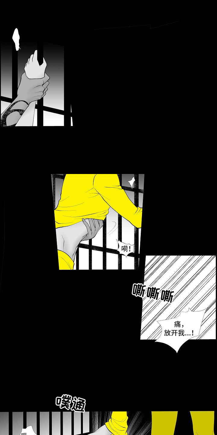 第3章：暗中观察0