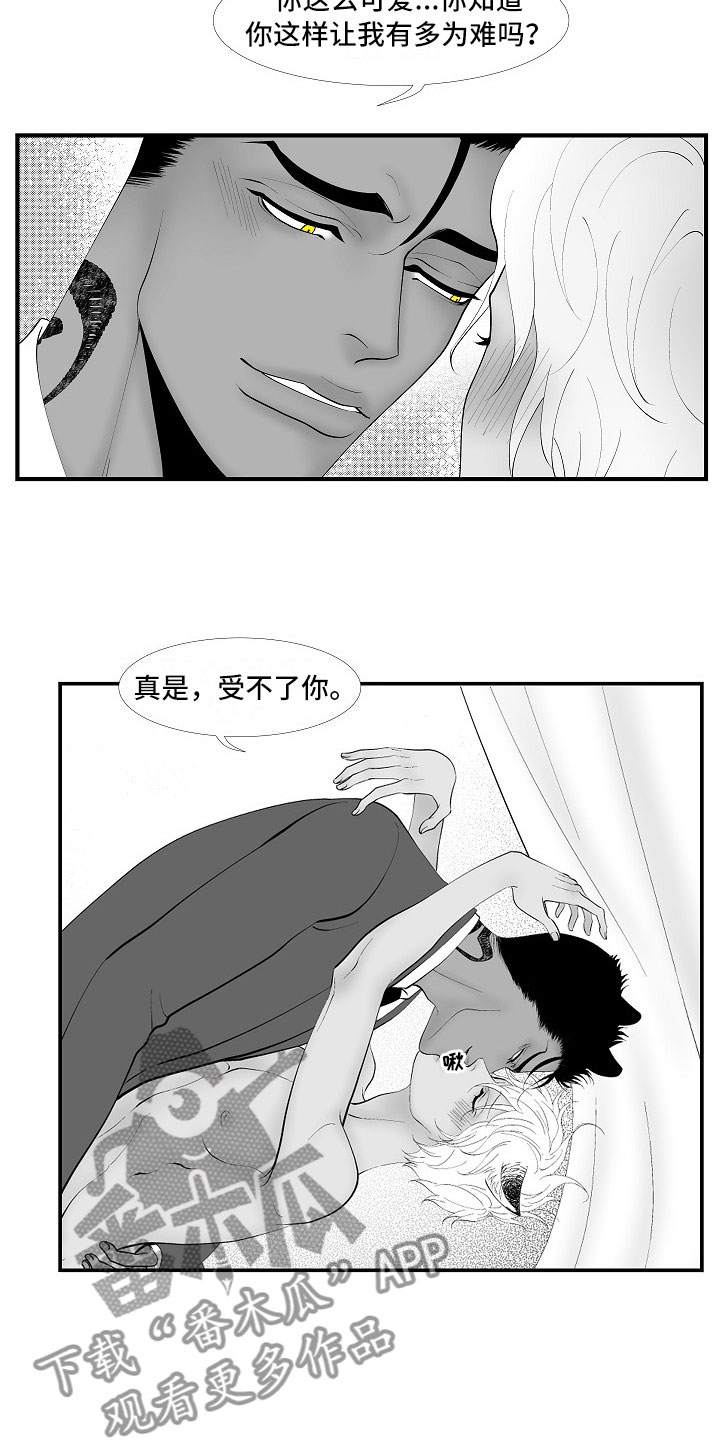 第14章：尘埃落定9